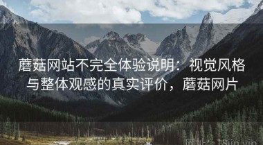 蘑菇网站不完全体验说明：视觉风格与整体观感的真实评价，蘑菇网片
