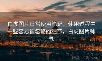 白虎图片日常使用笔记：使用过程中一些容易被忽略的细节，白虎图片帅气