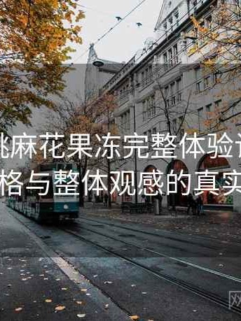 天美蜜桃麻花果冻完整体验记录：视觉风格与整体观感的真实评价