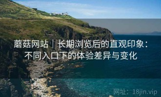 蘑菇网站｜长期浏览后的直观印象：不同入口下的体验差异与变化