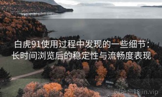 白虎91使用过程中发现的一些细节：长时间浏览后的稳定性与流畅度表现
