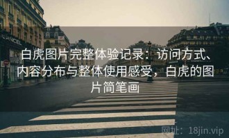 白虎图片完整体验记录：访问方式、内容分布与整体使用感受，白虎的图片简笔画