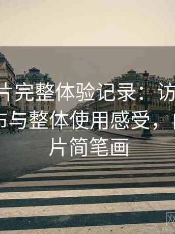 白虎图片完整体验记录：访问方式、内容分布与整体使用感受，白虎的图片简笔画
