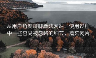 从用户角度聊聊蘑菇网站：使用过程中一些容易被忽略的细节，蘑菇网片