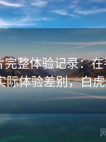白虎图片完整体验记录：在手机与电脑上的实际体验差别，白虎图片q版