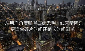 从用户角度聊聊白虎无毛一线天暗网：更适合碎片时间还是长时间浏览