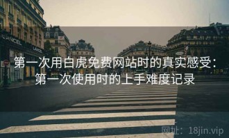 第一次用白虎免费网站时的真实感受：第一次使用时的上手难度记录
