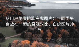 从用户角度聊聊白虎图片：与同类平台放在一起的直观对比，白虎图片帅气