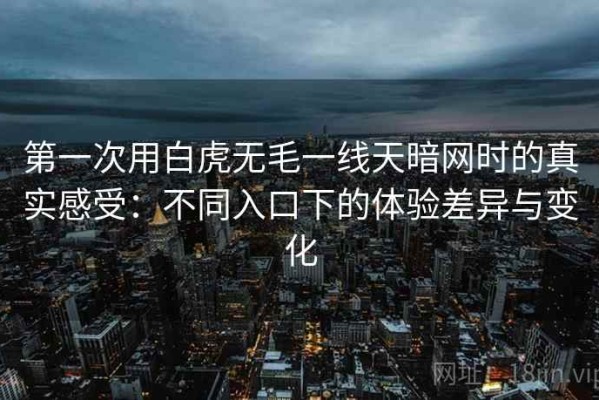 第一次用白虎无毛一线天暗网时的真实感受：不同入口下的体验差异与变化
