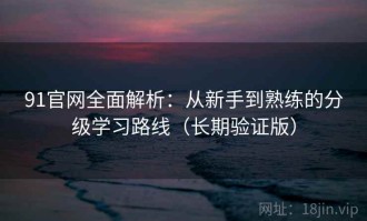 91官网全面解析：从新手到熟练的分级学习路线（长期验证版）