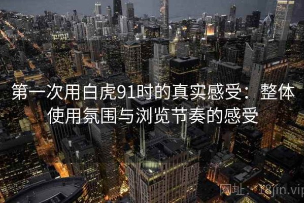 第一次用白虎91时的真实感受：整体使用氛围与浏览节奏的感受