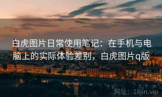 白虎图片日常使用笔记：在手机与电脑上的实际体验差别，白虎图片q版