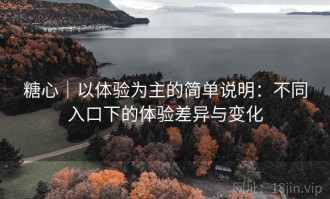糖心｜以体验为主的简单说明：不同入口下的体验差异与变化