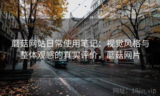 蘑菇网站日常使用笔记：视觉风格与整体观感的真实评价，蘑菇网片