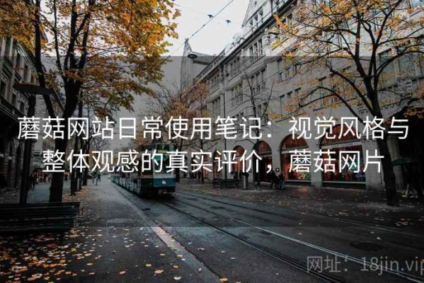蘑菇网站日常使用笔记：视觉风格与整体观感的真实评价，蘑菇网片