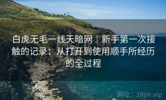 白虎无毛一线天暗网｜新手第一次接触的记录：从打开到使用顺手所经历的全过程