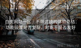 白虎网站一区｜不带滤镜的体验总结：功能设置是否复杂，对新手是否友好