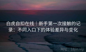 白虎自扣在线｜新手第一次接触的记录：不同入口下的体验差异与变化