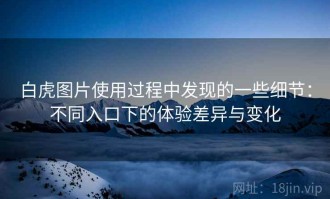 白虎图片使用过程中发现的一些细节：不同入口下的体验差异与变化