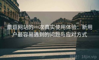 蘑菇网站的一次真实使用体验：新用户最容易遇到的问题与应对方式