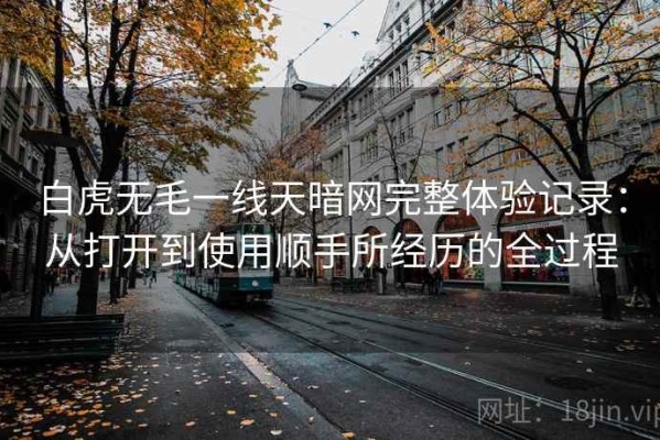 白虎无毛一线天暗网完整体验记录：从打开到使用顺手所经历的全过程