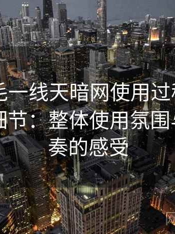 白虎无毛一线天暗网使用过程中发现的一些细节：整体使用氛围与浏览节奏的感受
