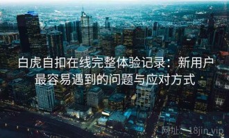 白虎自扣在线完整体验记录：新用户最容易遇到的问题与应对方式