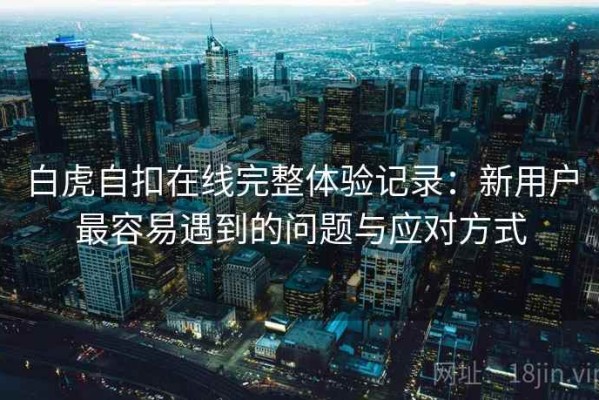 白虎自扣在线完整体验记录：新用户最容易遇到的问题与应对方式