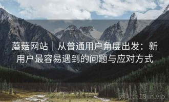 蘑菇网站｜从普通用户角度出发：新用户最容易遇到的问题与应对方式