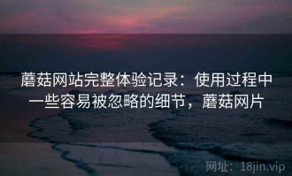 蘑菇网站完整体验记录：使用过程中一些容易被忽略的细节，蘑菇网片