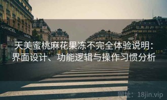 天美蜜桃麻花果冻不完全体验说明：界面设计、功能逻辑与操作习惯分析
