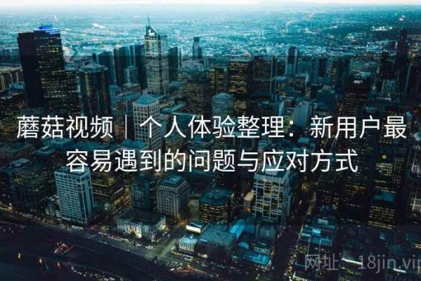 蘑菇视频｜个人体验整理：新用户最容易遇到的问题与应对方式