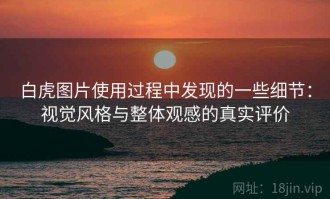 白虎图片使用过程中发现的一些细节：视觉风格与整体观感的真实评价