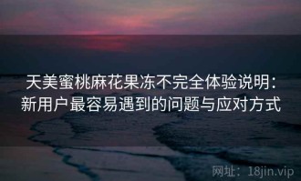 天美蜜桃麻花果冻不完全体验说明：新用户最容易遇到的问题与应对方式