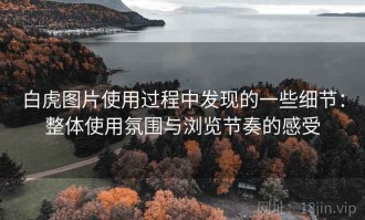 白虎图片使用过程中发现的一些细节：整体使用氛围与浏览节奏的感受