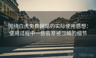 围绕白虎免费网站的实际使用感想：使用过程中一些容易被忽略的细节