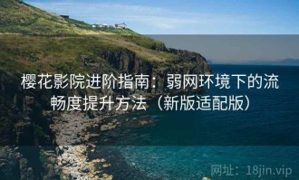 樱花影院进阶指南：弱网环境下的流畅度提升方法（新版适配版）