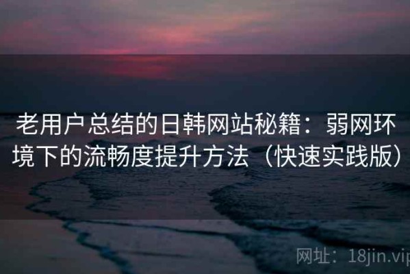 老用户总结的日韩网站秘籍：弱网环境下的流畅度提升方法（快速实践版）