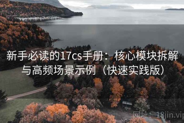 新手必读的17cs手册：核心模块拆解与高频场景示例（快速实践版）