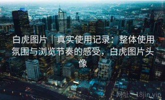 白虎图片｜真实使用记录：整体使用氛围与浏览节奏的感受，白虎图片头像