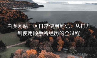 白虎网站一区日常使用笔记：从打开到使用顺手所经历的全过程
