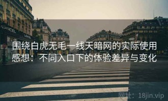 围绕白虎无毛一线天暗网的实际使用感想：不同入口下的体验差异与变化