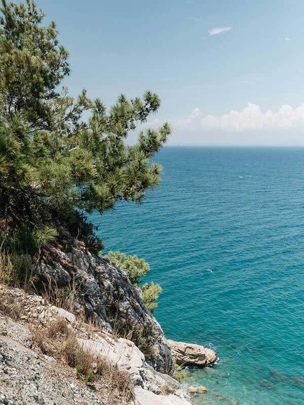 白虎免费网站完整体验记录：视觉风格与整体观感的真实评价