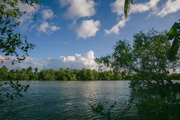 白虎图片使用过程中发现的一些细节：视觉风格与整体观感的真实评价
