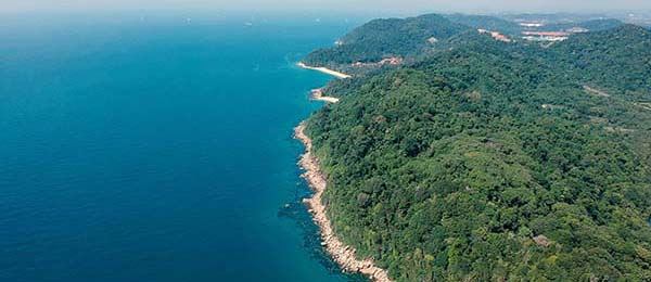 从用户角度聊聊红桃影视：界面设计、功能逻辑与操作习惯分析，红桃影院充值会员会盗号吗