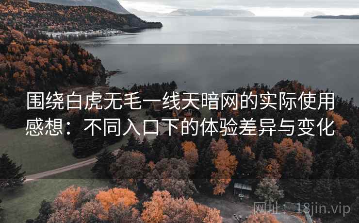 围绕白虎无毛一线天暗网的实际使用感想：不同入口下的体验差异与变化