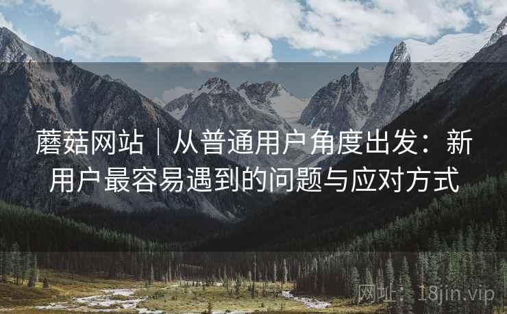 蘑菇网站｜从普通用户角度出发：新用户最容易遇到的问题与应对方式
