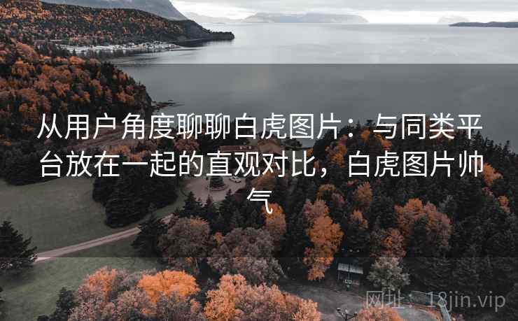 从用户角度聊聊白虎图片:与同类平台放在一起的直观对比,白虎图片帅气 从用户角度聊聊白虎图片:与同类平台放在一起的直观对比,白虎图片帅气