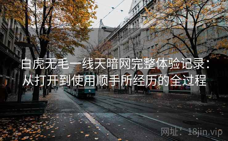 白虎无毛一线天暗网完整体验记录：从打开到使用顺手所经历的全过程