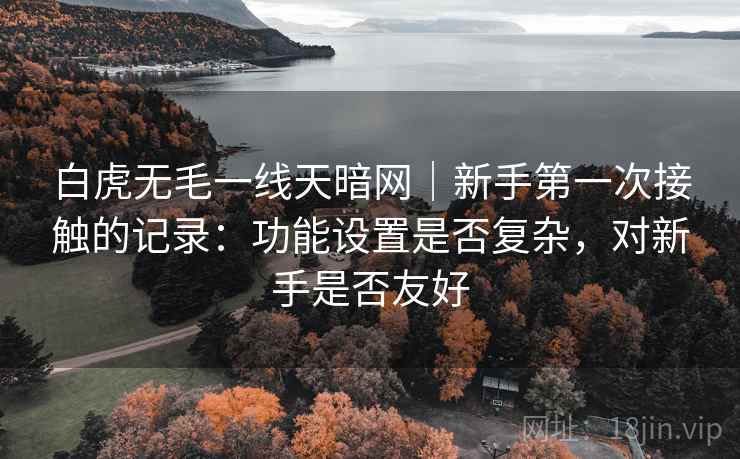 白虎无毛一线天暗网｜新手第一次接触的记录：功能设置是否复杂，对新手是否友好